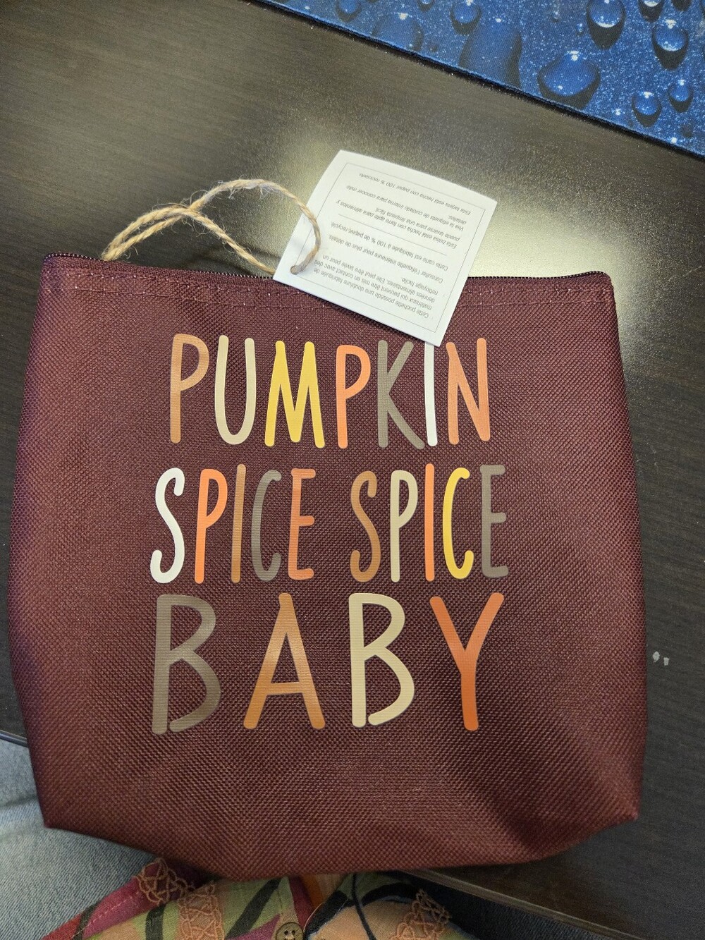 Thirty-one Snack & Go Pouch Pumpkin Spice Spice Baby NWT